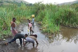 Environmental Conservation Program